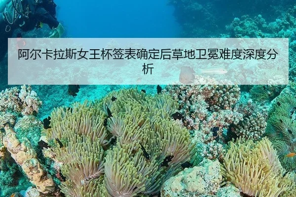 阿尔卡拉斯女王杯签表确定后草地卫冕难度深度分析