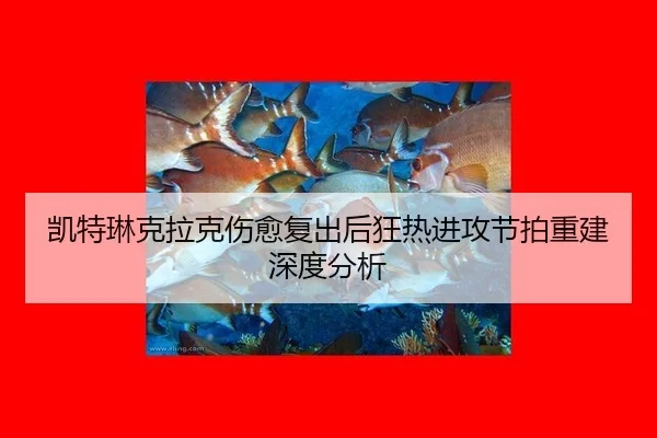 凯特琳克拉克伤愈复出后狂热进攻节拍重建深度分析（leyu）